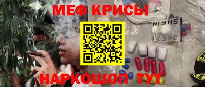 тгк Кингисепп