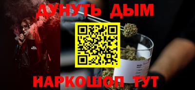 тгк Кингисепп