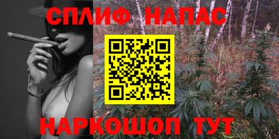 бошки Кинель