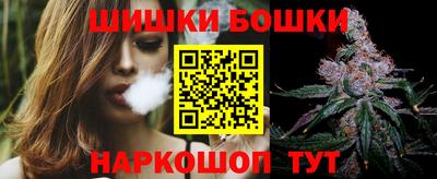 тгк Кингисепп