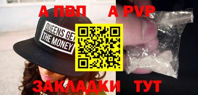 тгк Кингисепп