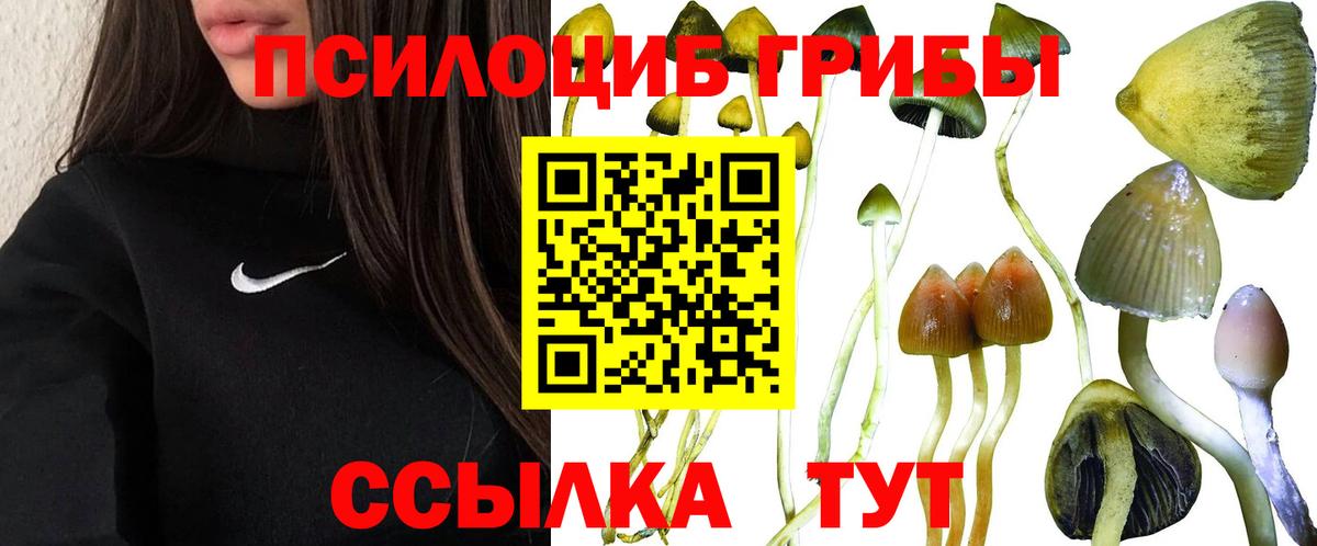 Псилоцибиновые грибы ЛСД  Вход с VPN  Ейск 
