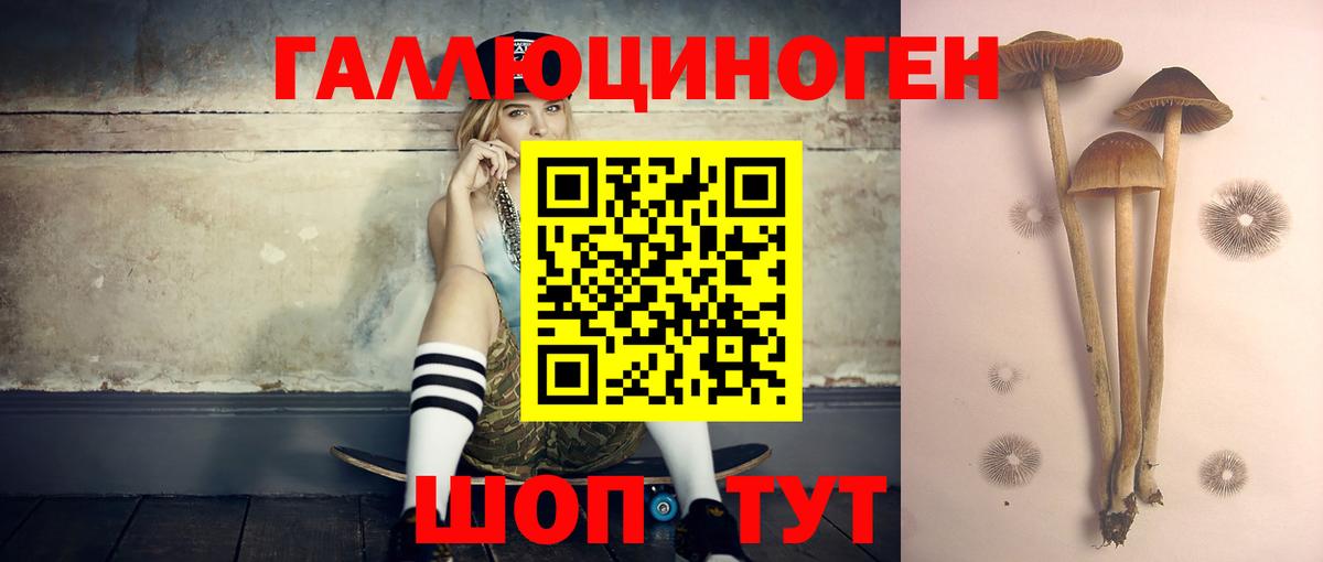 Псилоцибиновые грибы мицелий Ейск